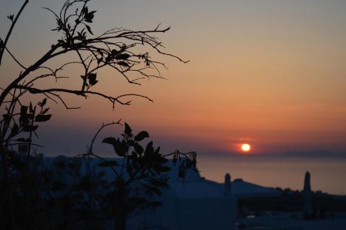 a sunset over the ocean with a tree at Kiklamino Sunset Studios in Oia