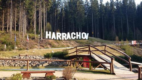 ハルラホフにあるHarrachov Resident Apartments with Terraceのギャラリーの写真