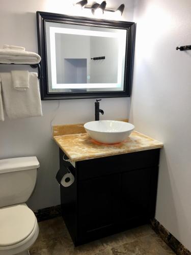 a bathroom with a sink and a toilet and a mirror at Lake View Suites in West Yellowstone