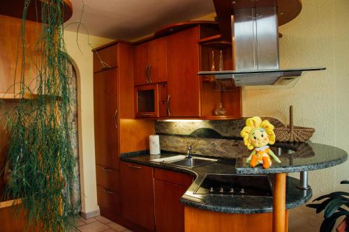 a kitchen with a sink and a toy on a counter at Apartment Bor in Bovec
