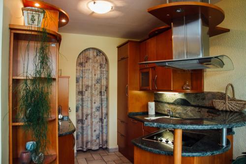 Kuhinja ili čajna kuhinja u objektu Apartment Bor