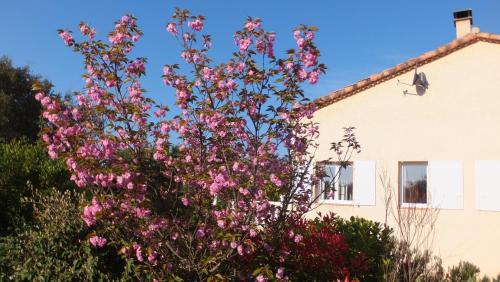 a tree with pink flowers in front of a house at La Cèzenole in Méjannes-le-Clap