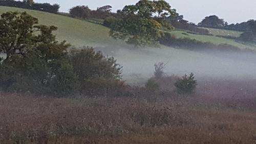 a painting of a field with fog in the distance at Lunecliffe Country lodge-Lancaster Gateway to the Lakes in Lancaster