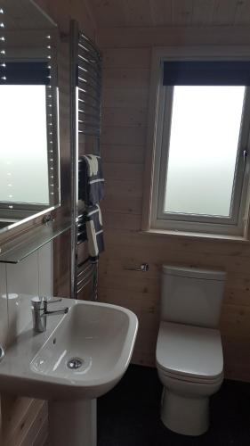 a bathroom with a toilet and a sink and two windows at Lunecliffe Country lodge-Lancaster Gateway to the Lakes in Lancaster