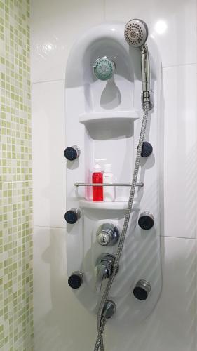 a shower in a bathroom with shelves and a shower head at O Ninho in Vila Nova de Gaia