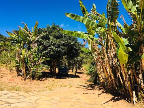 Sitio Vale das Montanhasにある庭