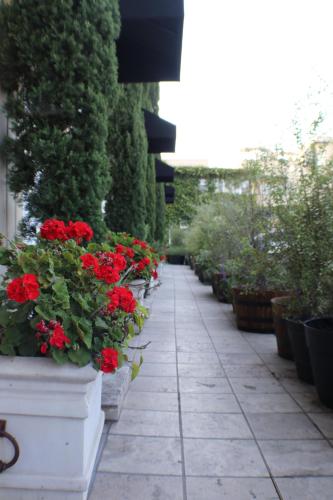 Gallery image of Seaside Laguna Inn & Suites in Laguna Beach