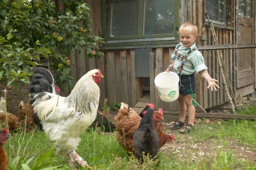 Afbeelding uit fotogalerij van Ferienhof Off in Sindelsdorf
