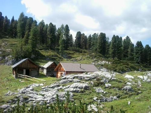 a couple of buildings on a hill with trees at Pension Trillerhof in Ramsau am Dachstein
