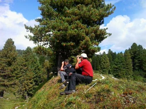 two people sitting on a hill near a tree at Pension Trillerhof in Ramsau am Dachstein