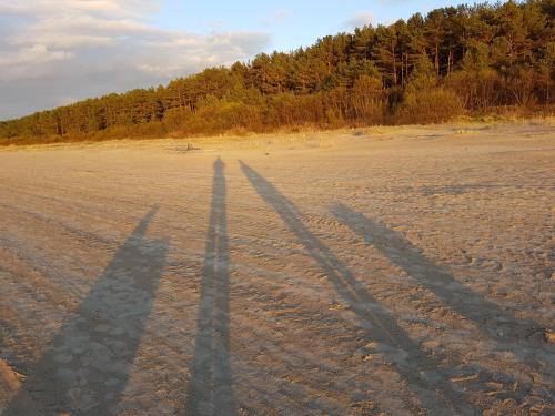 a couple of shadows on a sandy beach at Small resort Pini & SPA in Jūrmala