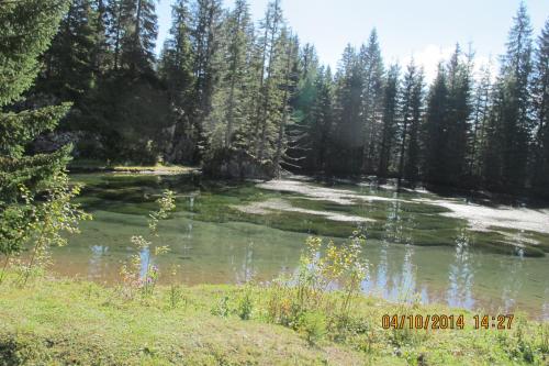 a body of water with trees in the background at Pension Trillerhof in Ramsau am Dachstein