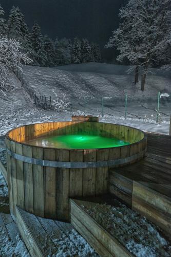 a small pond with green water in the snow at Chalet Hovel in Mănăstirea Humorului