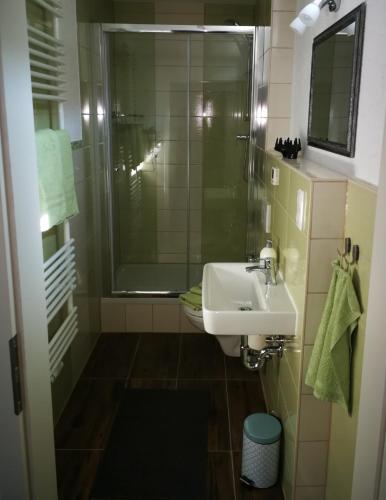 a small bathroom with a sink and a shower at Ferienhaus Landliebe Liebenstein in Liebenstein