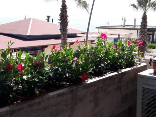 a retaining wall with pink flowers and palm trees at Soffio Di Mare in Porto Recanati