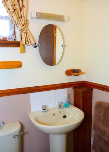 a bathroom with a sink and a mirror and a toilet at Clarke Cottage Guest House in Dunfermline