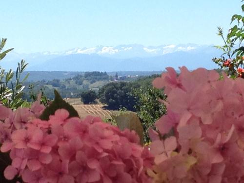 a bunch of pink flowers with mountains in the background at Gite Au Bouzigues in Monlaur-Bernet