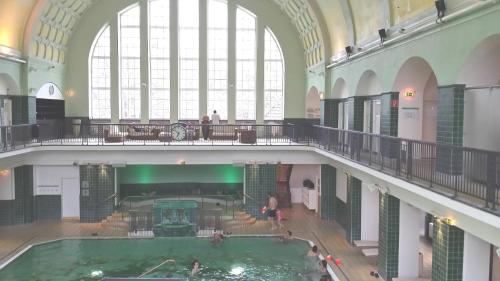 ハンブルクにあるAlster City Garden Villaの大型屋内プール