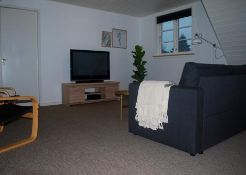 a living room with a couch and a television at Adventure Park Apartments in Ringkøbing