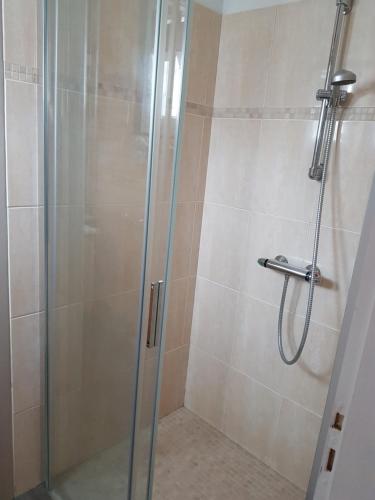 a shower stall with a glass shower door at La petite chaumiere in Saint-Maurice-sur-Moselle