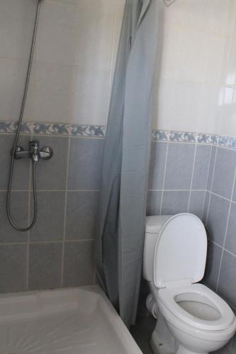 a small bathroom with a toilet and a shower at K.méléon-Hôtel in Ivato