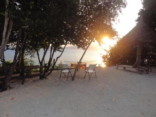 Příroda nedaleko penzionu