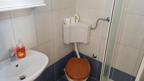 a bathroom with a toilet and a sink at Apartment Ecio in Banjole