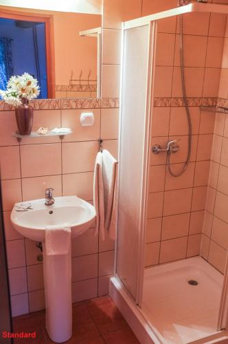 a bathroom with a sink and a shower at Zajazd Wiejski in Szczechy Wielkie