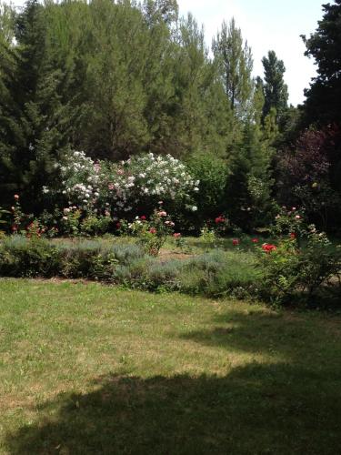 a garden with pink and white flowers and trees at Le Mas d'Hermès in Plan-dʼOrgon
