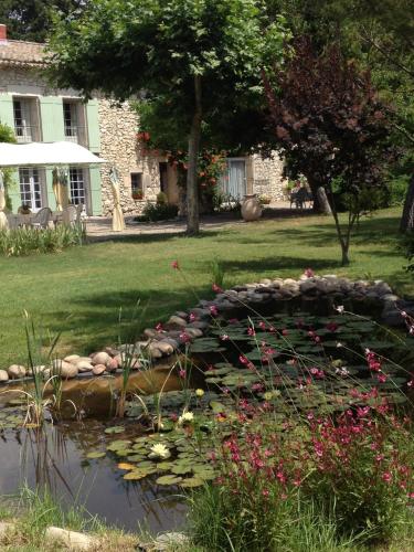 a pond with a bunch of flowers in a yard at Le Mas d'Hermès in Plan-dʼOrgon