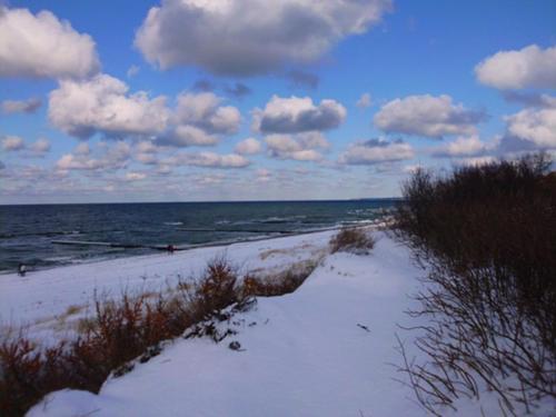Gallery image of Alte Weberei Ahrenshoop - Ort der Erholung in Ahrenshoop