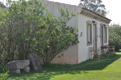 a small house with a tree next to a building at B&B Pubulos in Olbia