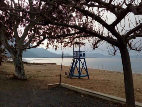 a blue swing on the beach next to a tree at Angel House in Drosia