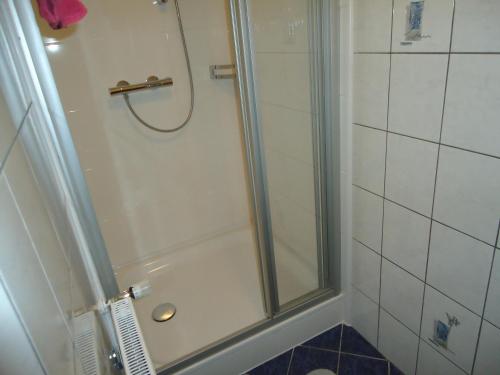 a bathroom with a shower with a glass door at Pension-Greimelbacherhof in Ramsau am Dachstein