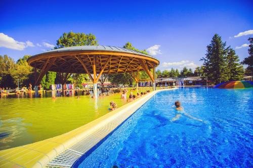 a group of people swimming in a swimming pool at Hanna Apartman in Bük