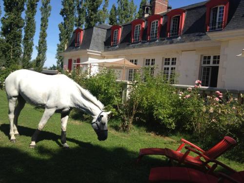 a white horse grazing in the grass in front of a house at Le domaine de barbizon in Saint-Martin-en-Bière