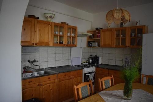 Кухня или мини-кухня в Katalin apartman
