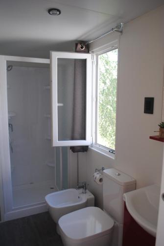 a bathroom with a toilet and a sink and a window at Agriturismo Il Giardino Degli Ulivi in Lazise