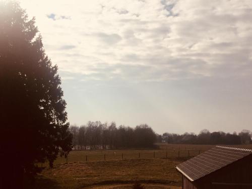 Galeriebild der Unterkunft Poelyck: Übernachten in einem Strohhaus, umgeben von purer Natur! in Kerken