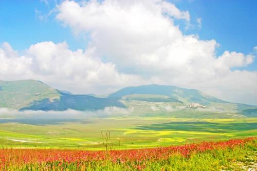 a field of flowers with mountains in the background at Villa delle Rose - Hotel Paradiso in Amandola