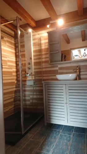 a bathroom with a shower and a sink in it at Maison ocelandes in Saint-Julien-en-Born