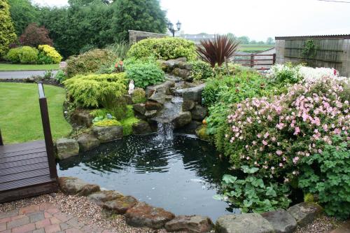 um jardim com um lago com uma fonte e flores em Crich Lane Farm em Alfreton