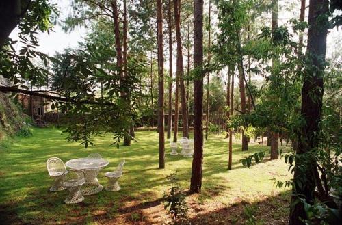 a picnic table and chairs in a park with trees at Hotel Bella Vista in Huasca de Ocampo