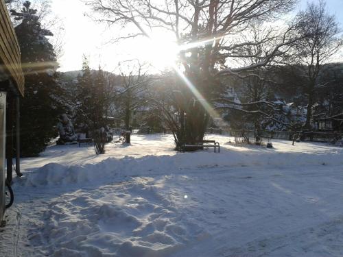 a snow covered yard with the sun in the background at Pension Haus Marga in Wernigerode