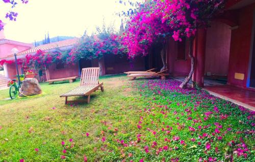 a yard with two benches and pink flowers at Sant Efisio in Lotzorai