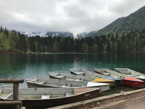 a group of boats are docked on a lake at Berghaus Christel, bergbeek in grote tuin in Arnoldstein