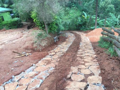 a stone walkway in a yard with a tree at David Crater Homestay in Lushoto