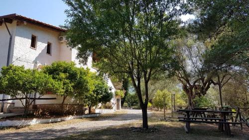 Agriturismo Angela – Photos 3