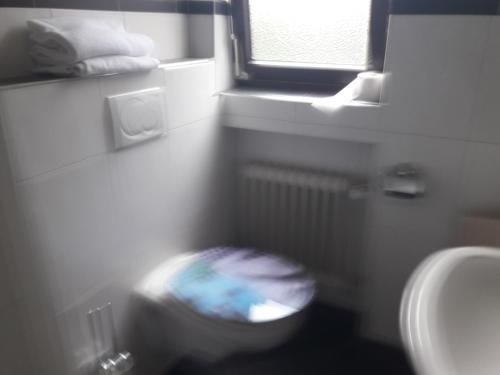 a bathroom with a toilet and a sink and a window at Haus Helene in Einruhr