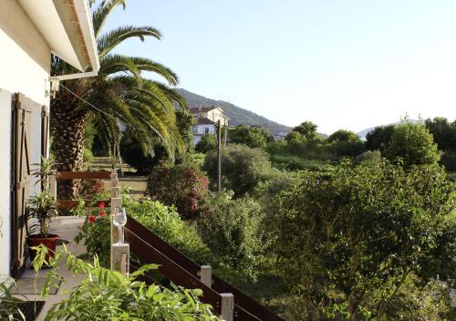 a view of a garden with a palm tree at Casa Gwendoline - Albergue / Hostel / AL - Caminho da Costa in Vila Nova de Cerveira